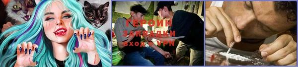 соль ск Зеленокумск